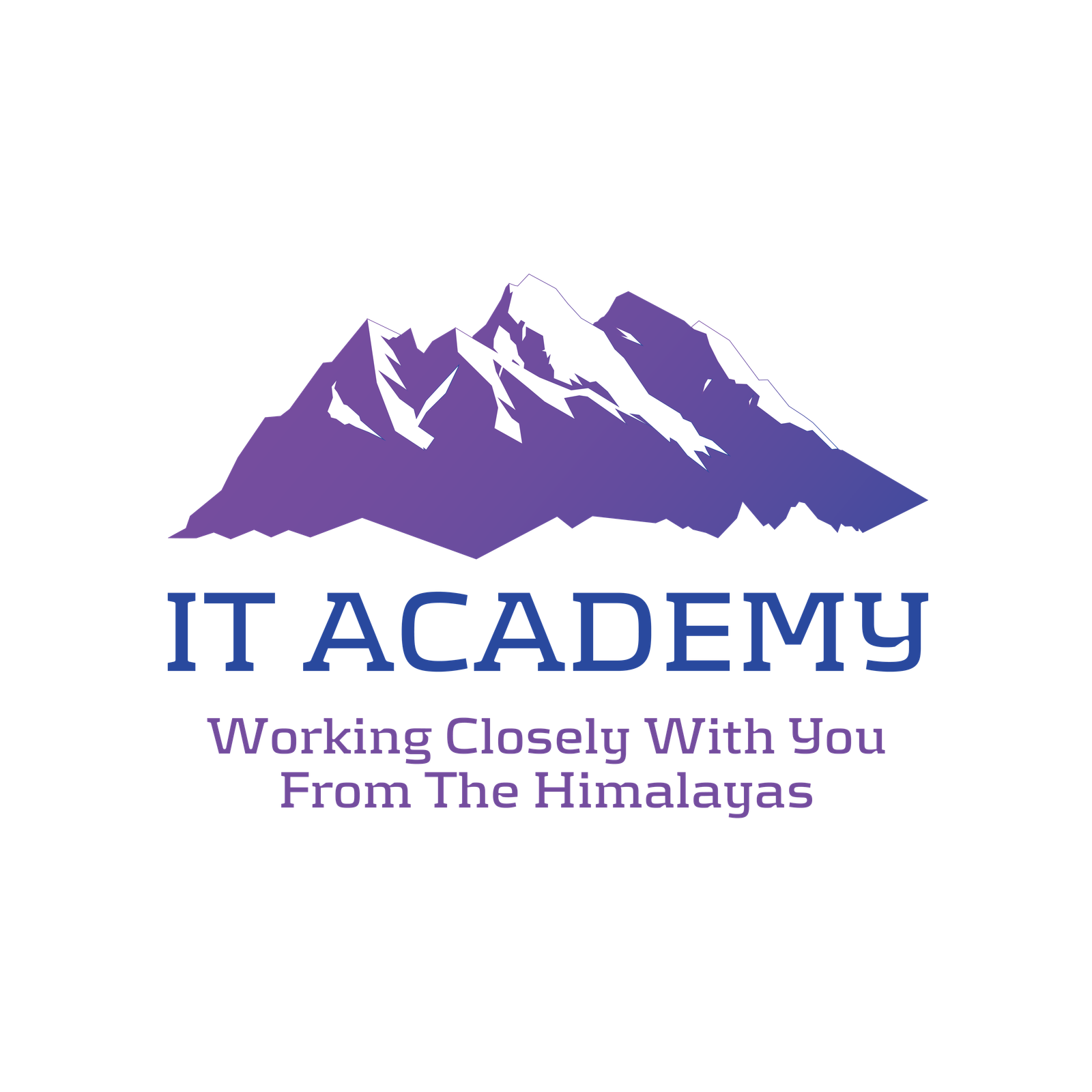 IT Academy